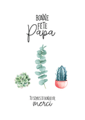 Fête des pères avec des plantes succulentes